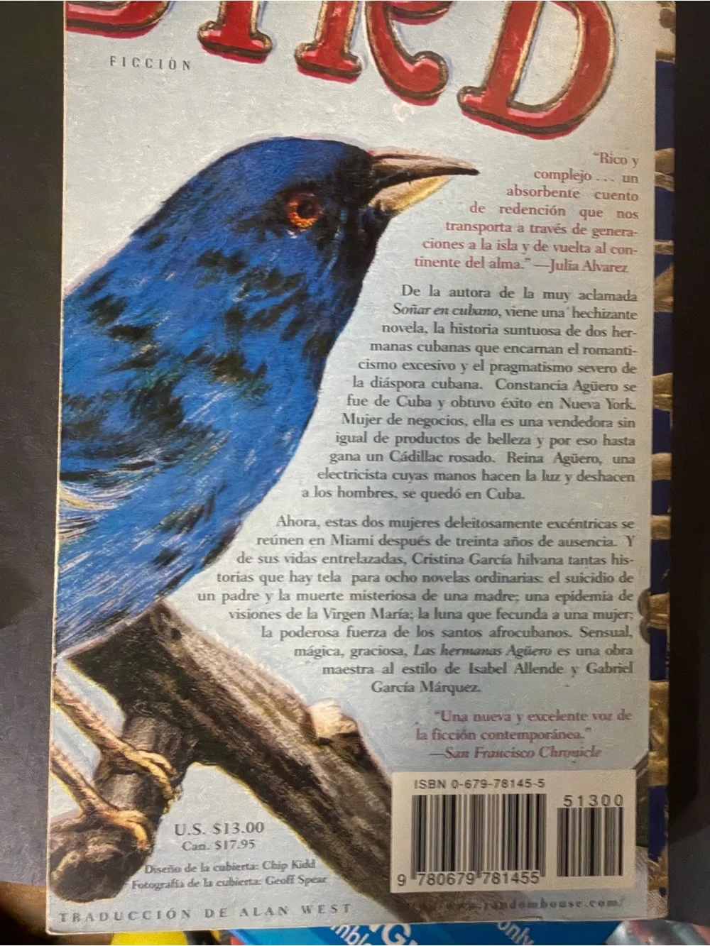 Las Hermanas Agüero by Cristina García - Yellow & Blue Vintage Cover